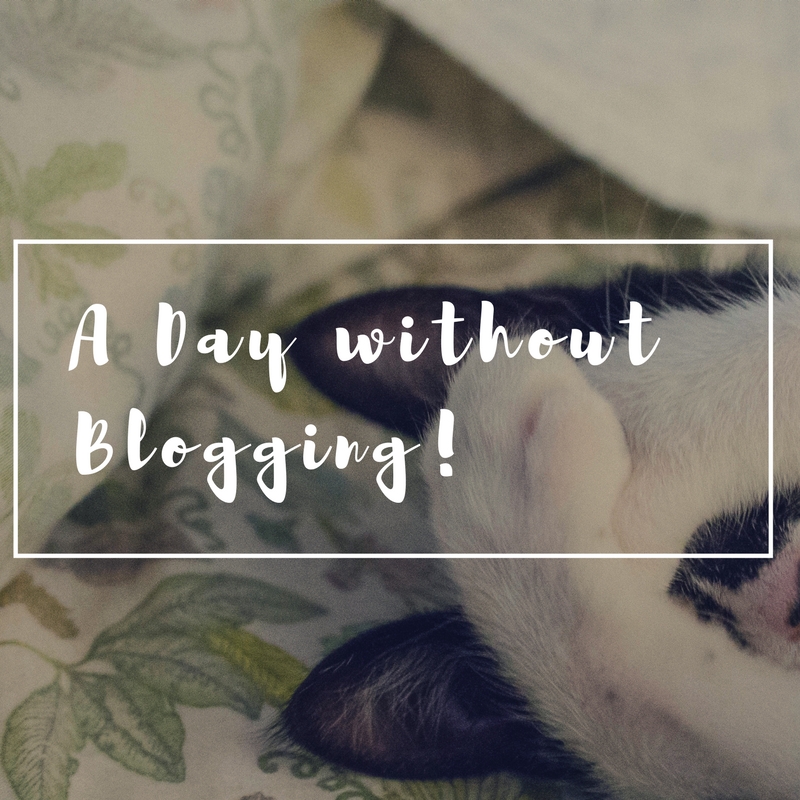 a day without blogging